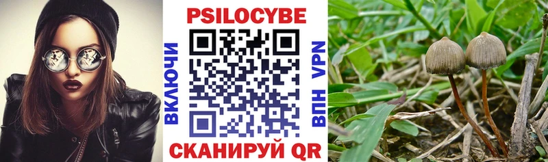 Галлюциногенные грибы Cubensis  МЕГА как зайти  Светлый 
